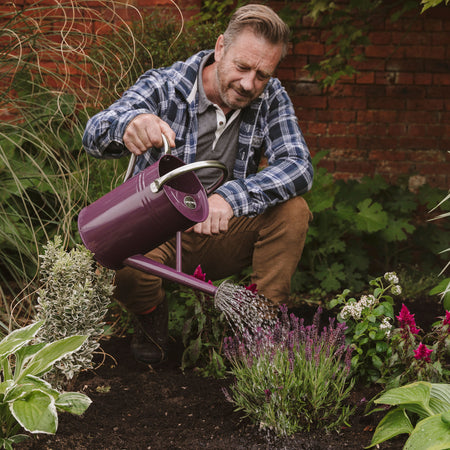 Kent & Stowe Metal Watering Can Deep Violet 4.5L