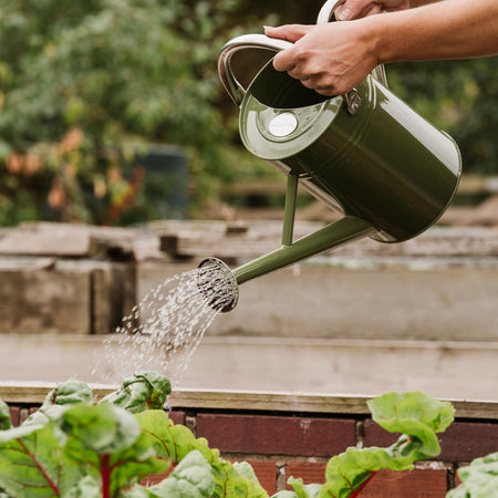 Kent & Stowe Metal Watering Can Tweed Green 4.5L