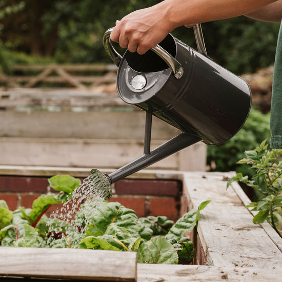 Kent & Stowe Metal Watering Can Cool Grey 4.5ltr watering vegetable patch