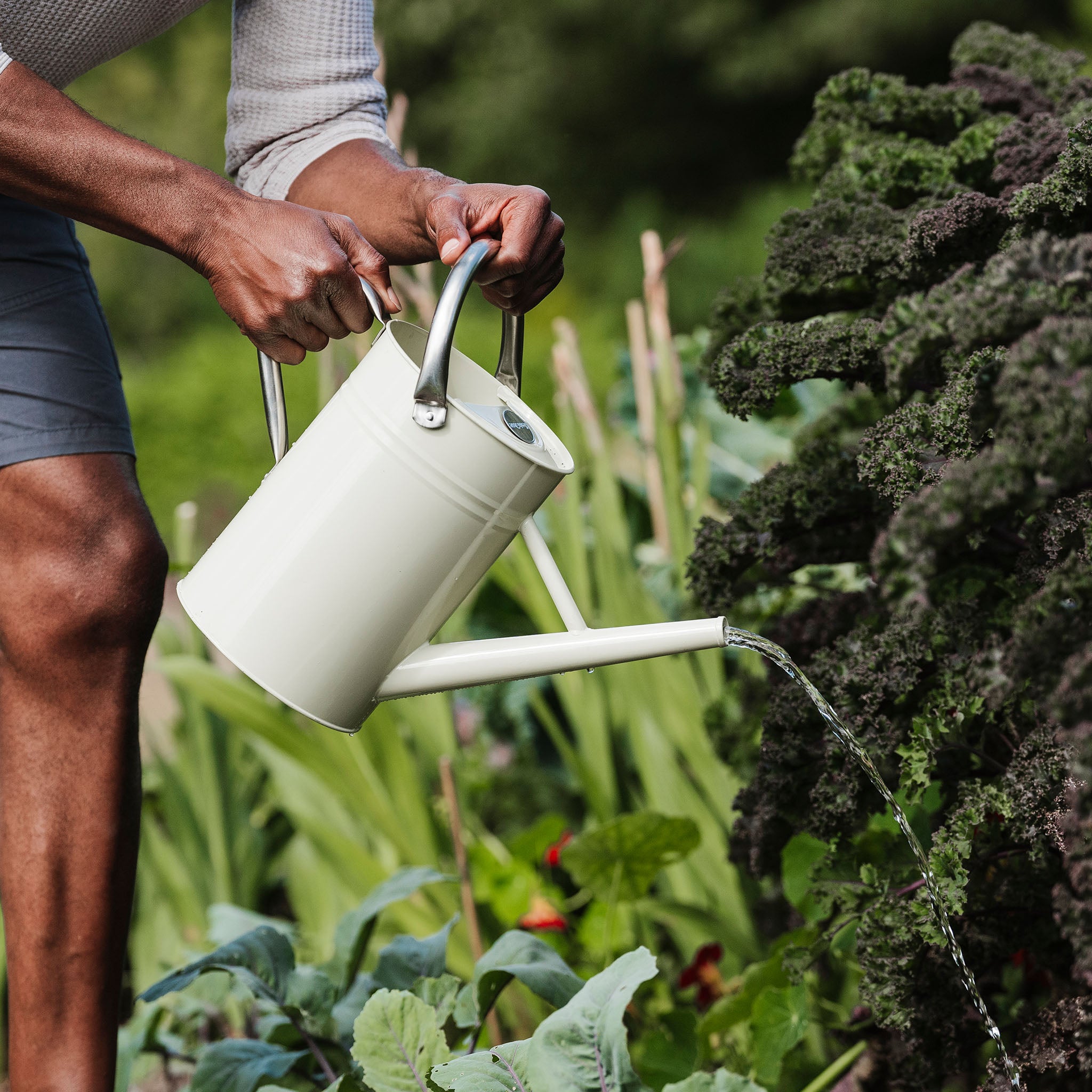 1L Steel Long Spout Watering Can - Lightweight Indoor & Outdoor Plant Watering