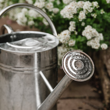 Kent & Stowe Galvanised Metal Watering Can 9L