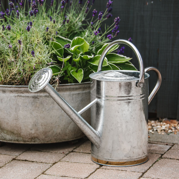 Kent & Stowe Galvanised Metal Watering Can 9L