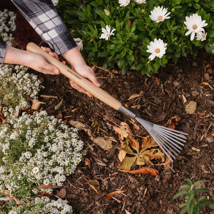 Kent & Stowe Stainless Steel Border Hand Shrub Rake