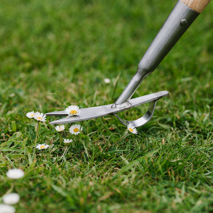 Kent & Stowe Stainless Steel Long Handled Daisy Weeder