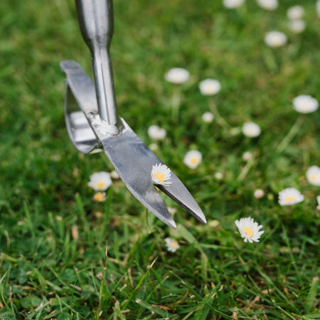 Kent & Stowe Stainless Steel Long Handled Daisy Weeder