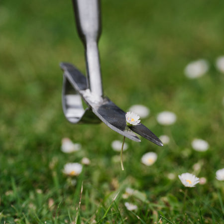 Kent & Stowe Stainless Steel Long Handled Daisy Weeder