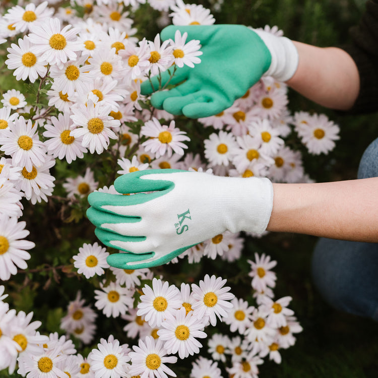 Kent & Stowe Pistachio Natural Bamboo Gloves - Small