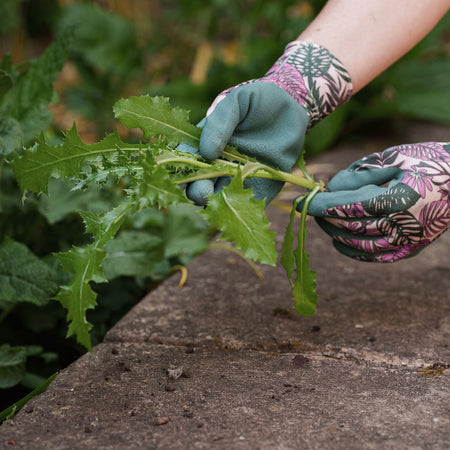 Kent & Stowe Weeding Gloves Botanical Triple Pack - Medium