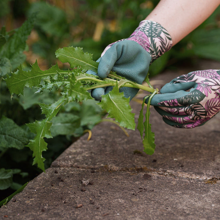 Kent & Stowe Weeding Gloves Botanical Triple Pack - Medium