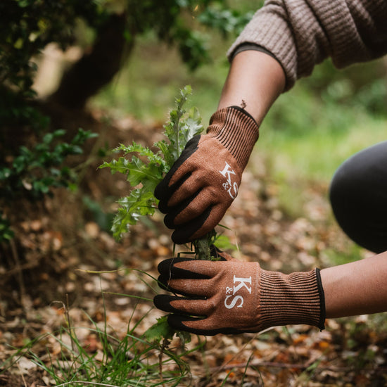 Kent & Stowe Sure & Grip All Purpose Gloves pulling out weeds