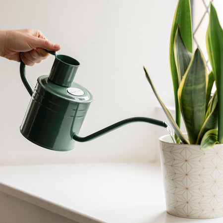 Kent & Stowe Indoor Metal Watering Can Sage Green 1L