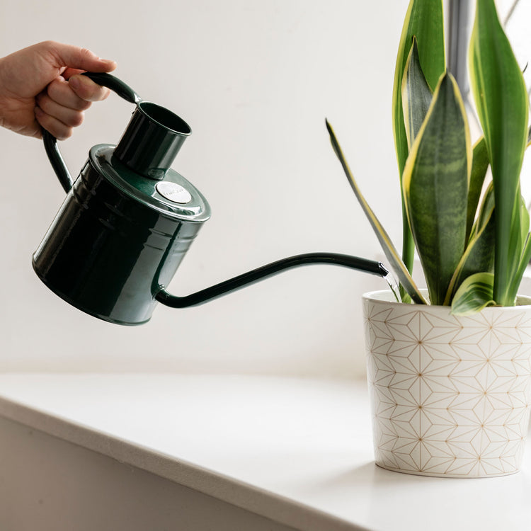 Kent & Stowe Indoor Metal Watering Can Forest Green