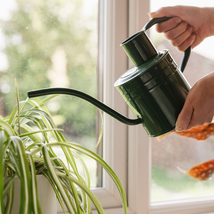 indoor watering cans for plants Kent & Stowe Indoor Watering Can Forest Green 1L