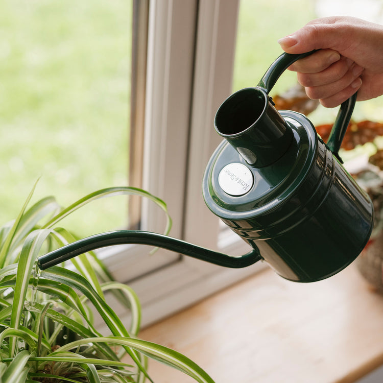 Kent & Stowe Indoor Metal Watering Can Forest Green