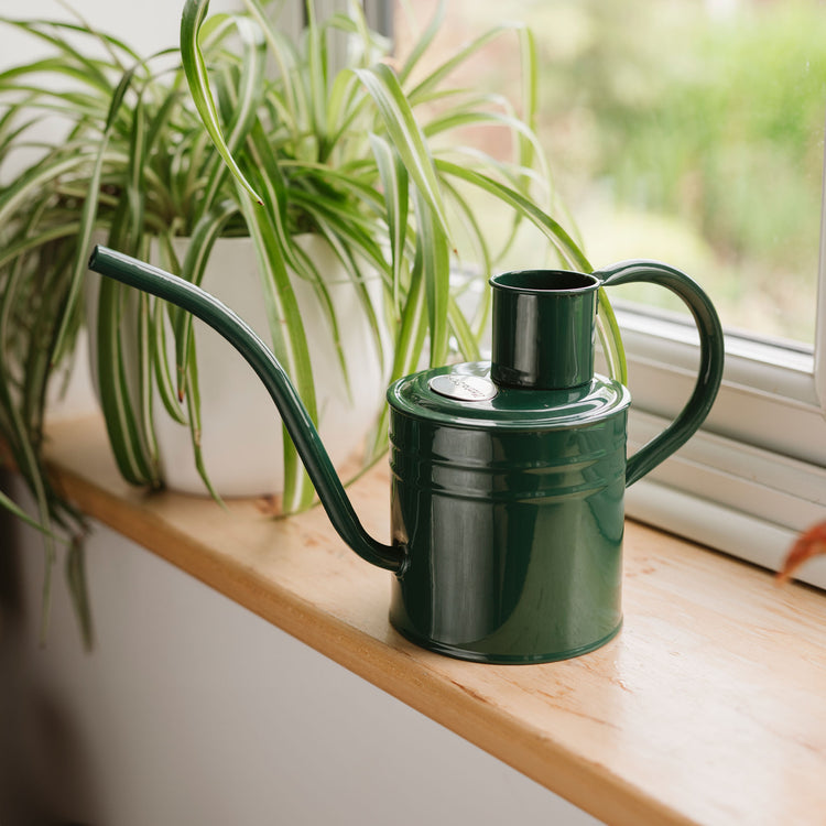 indoor watering cans for plants Kent & Stowe Indoor Watering Can Forest Green 1L