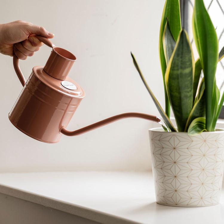 Kent & Stowe Indoor Metal Watering Can Blush Pink 1L