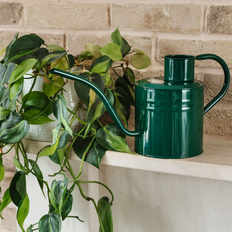 Kent & Stowe Indoor Metal Watering Can Forest Green 2L