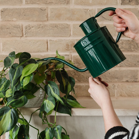 Kent & Stowe Indoor Metal Watering Can Forest Green 2L