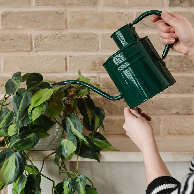 metal house plant watering can Kent & Stowe Indoor Watering Can Forest Green 2L