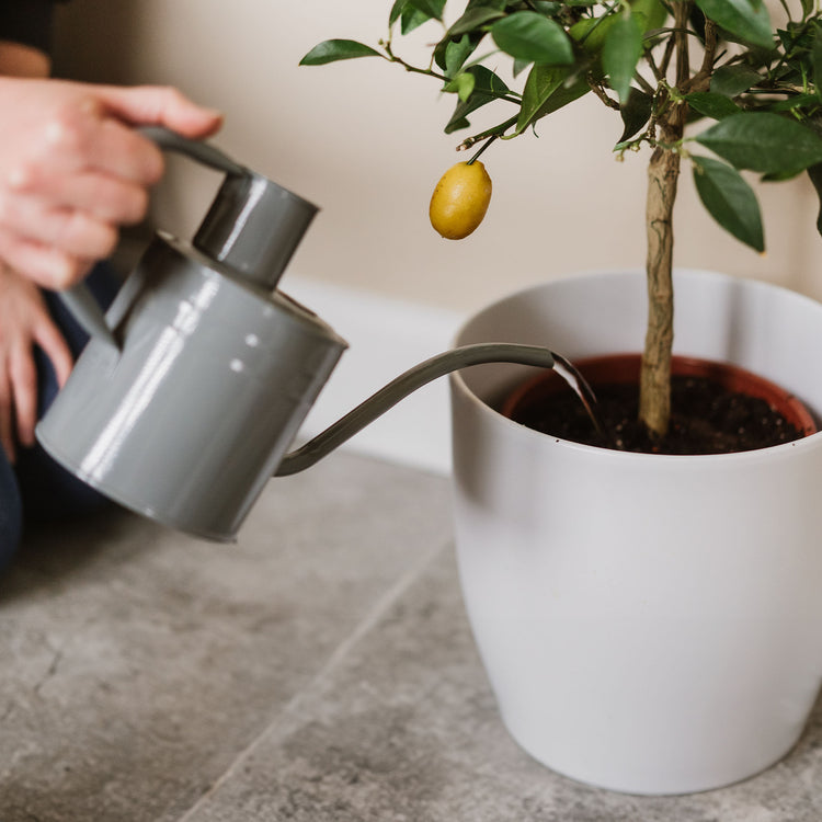 Kent & Stowe Indoor Metal Watering Can Warm Grey 1L