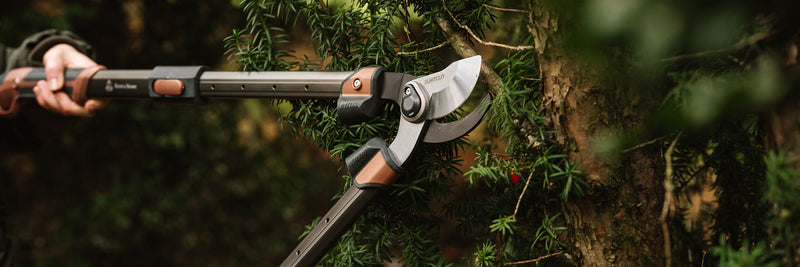 surecut loppers cutting tree