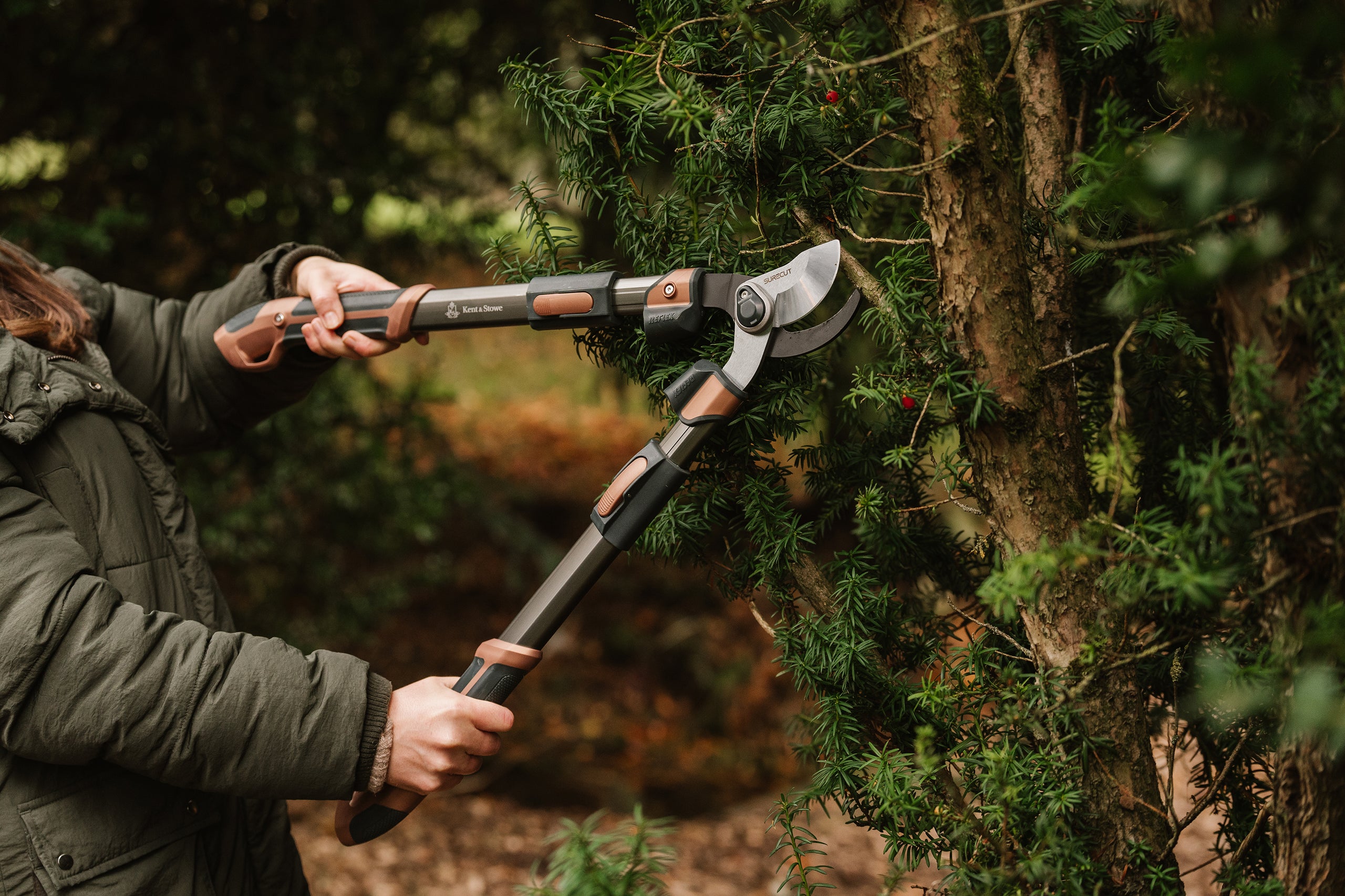 november gardening jobs pruning 