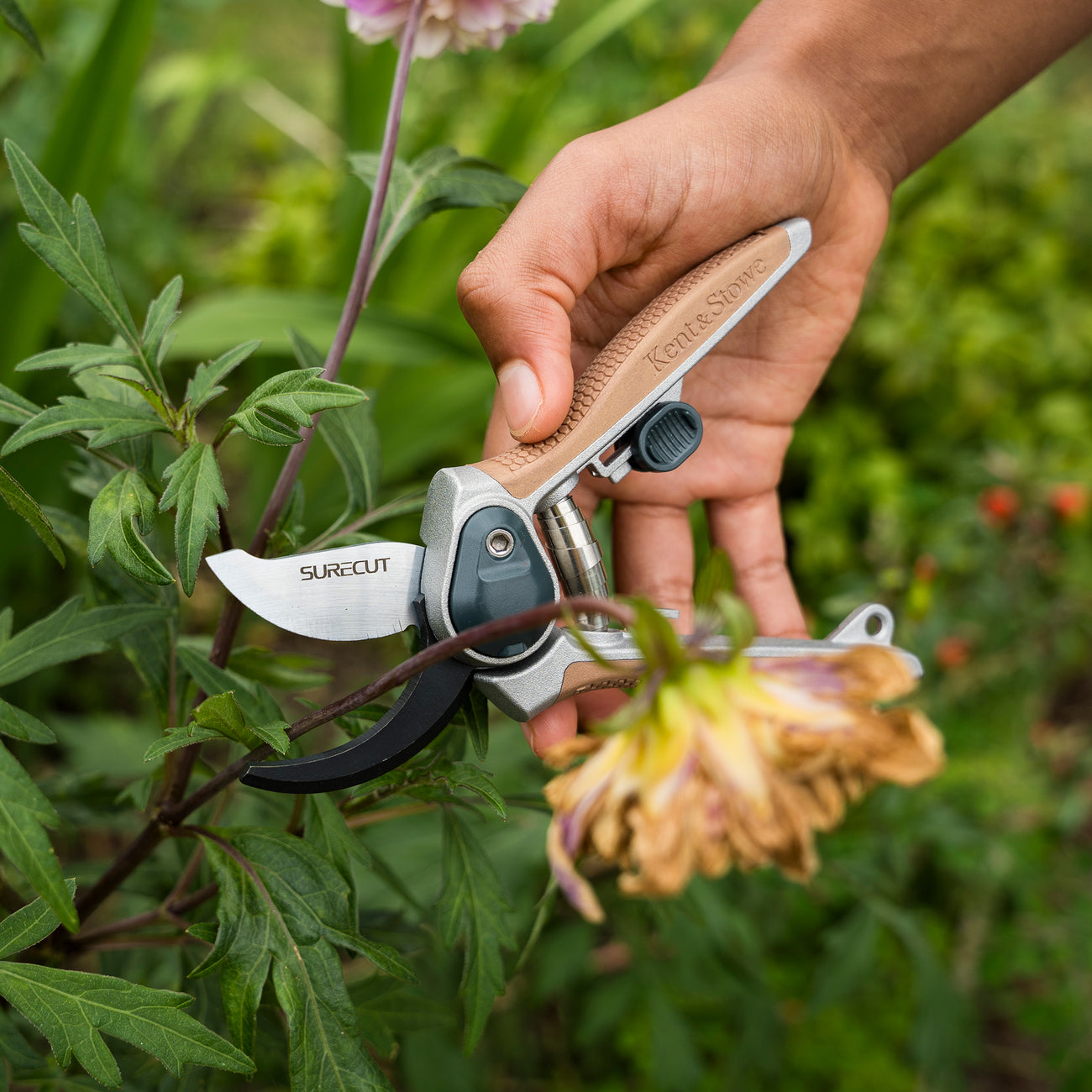kent and stowe garden life surecut secateurs
