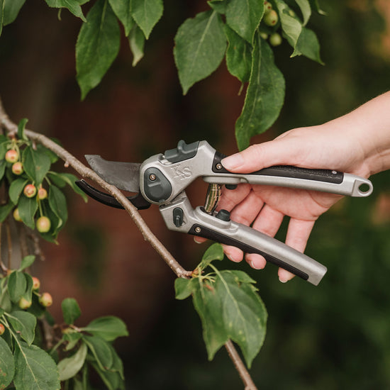 Kent & Stowe Eversharp All Purpose Secateurs cutting branch