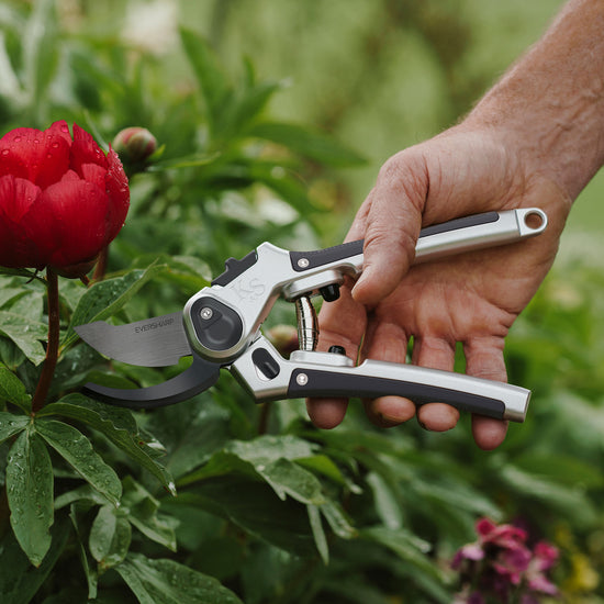 Kent & Stowe Eversharp All Purpose Secateurs cutting flower