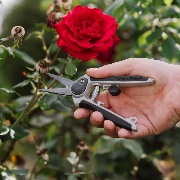 Kent & Stowe Eversharp Garden Snips