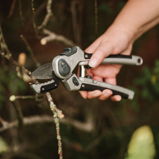 Kent & Stowe Eversharp Hard Wood Secateurs cutting branches