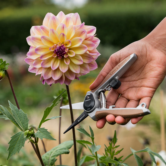 Kent & Stowe Garden Life Flower Snips snipping flower