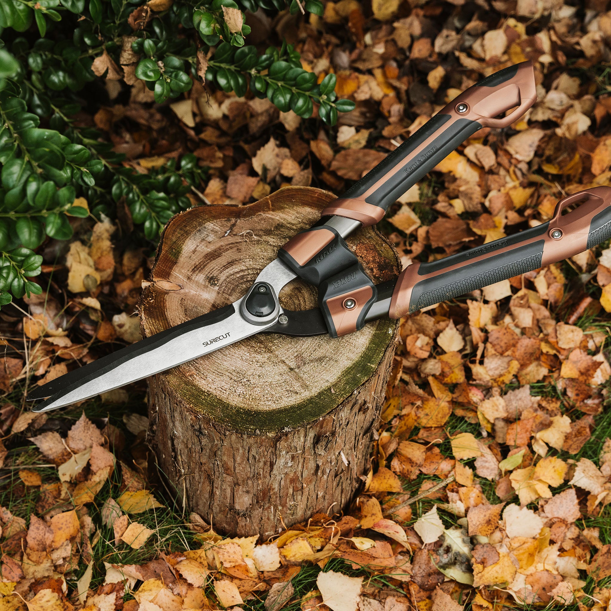 Kent & Stowe Garden Life Box Shears - Lightweight Tools