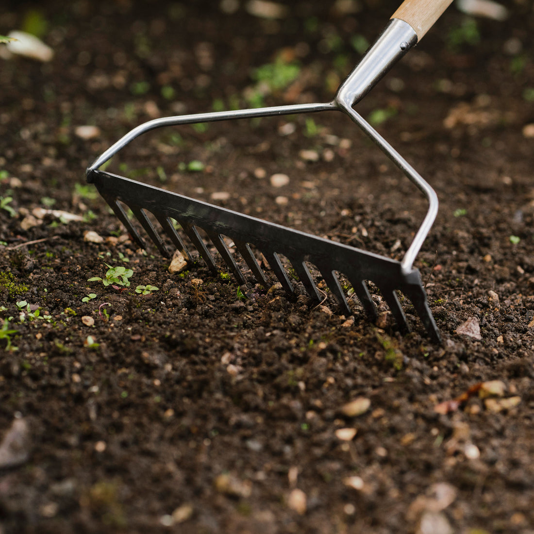 Life Rake Kent & Stowe Garden Life Soil Rake - Lightweight Tools