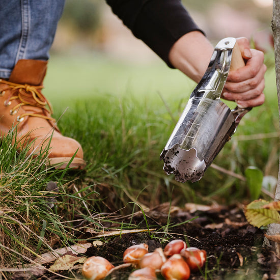 Kent & Stowe Hand Bulb Planter planting bulbs