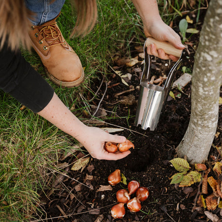 Kent & Stowe Carbon Steel Hand Bulb Planter
