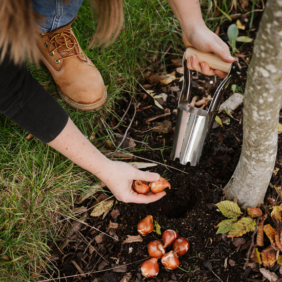 Kent & Stowe Hand Bulb Planter planting bulbs