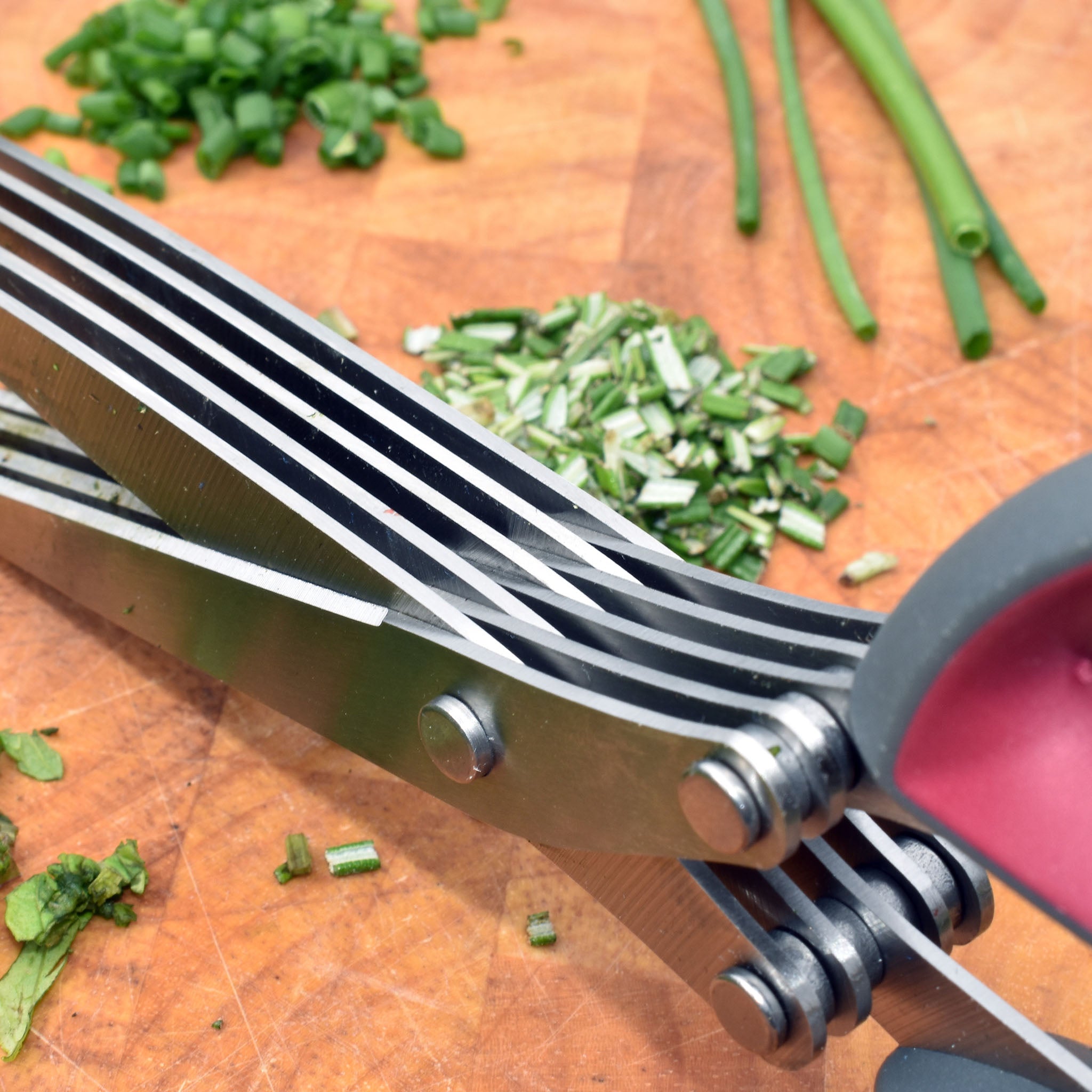Garden Scissors | Buy Garden Scissors Online | Kent & Stowe