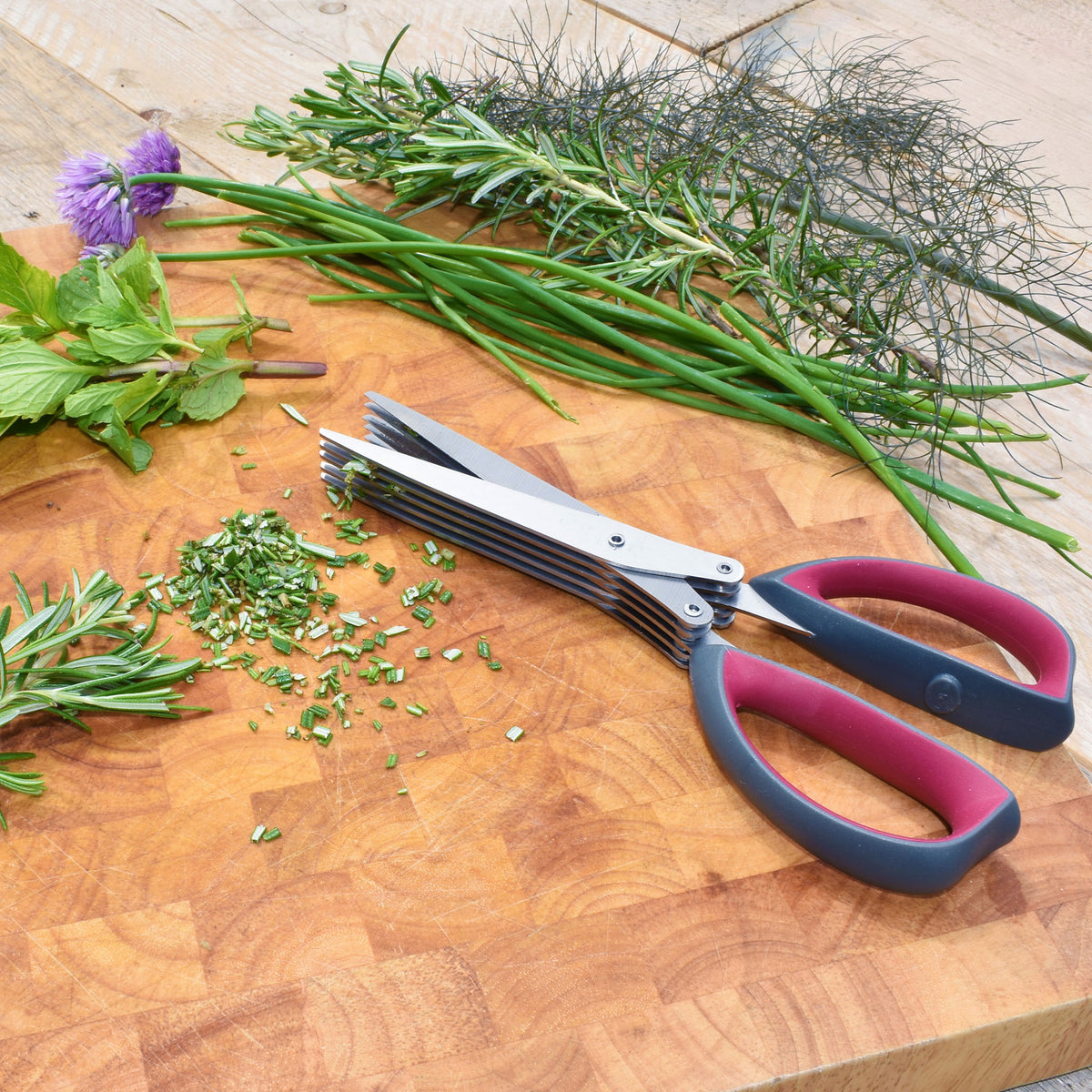 Kent & Stowe Multi-Blade Herb Scissors - Cutting Tools