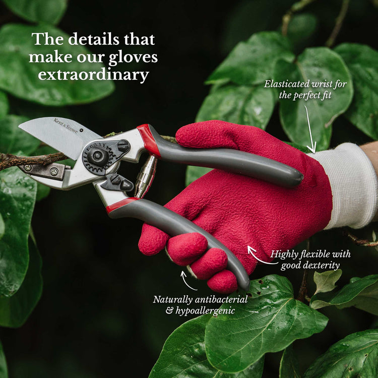 hypoallergenic gardening gloves Kent & Stowe Rumba Red Natural Bamboo Gloves Ladies Small