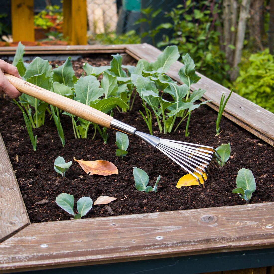 Kent & Stowe Border Hand Shrub Rake - Garden Tidy