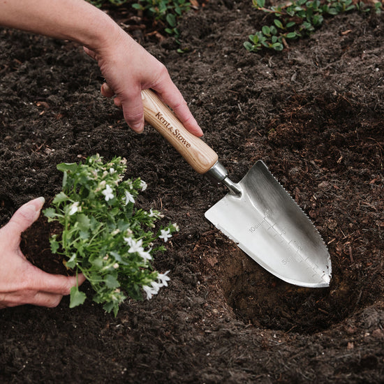 Kent & Stowe Stainless Steel The Capability Trowel planting