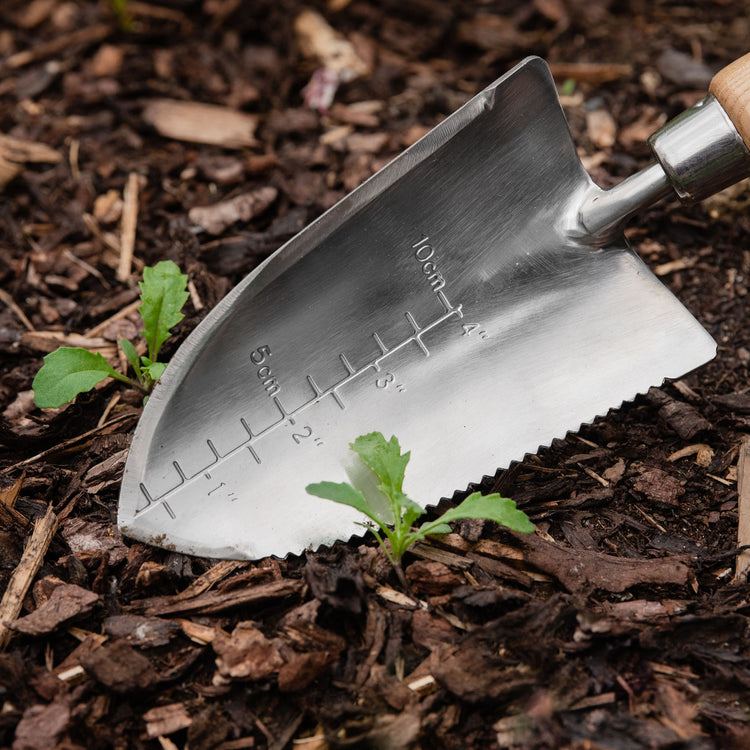 serrated edge garden trowel Kent & Stowe Capability Trowel