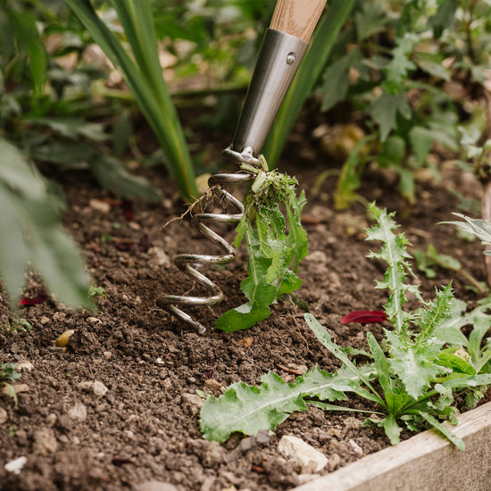 Kent & Stowe Stainless Steel Hand Corkscrew Weeder weeding
