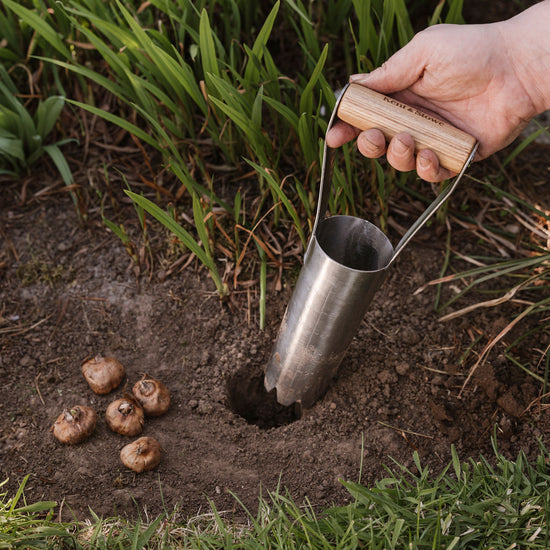 Kent & Stowe Stainless Steel Large Hand Bulb Planter planting