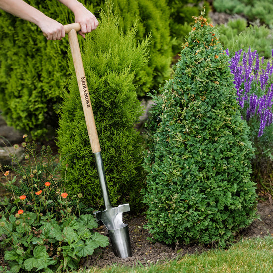 Kent & Stowe Stainless Steel Long Handled Bulb Planter in use