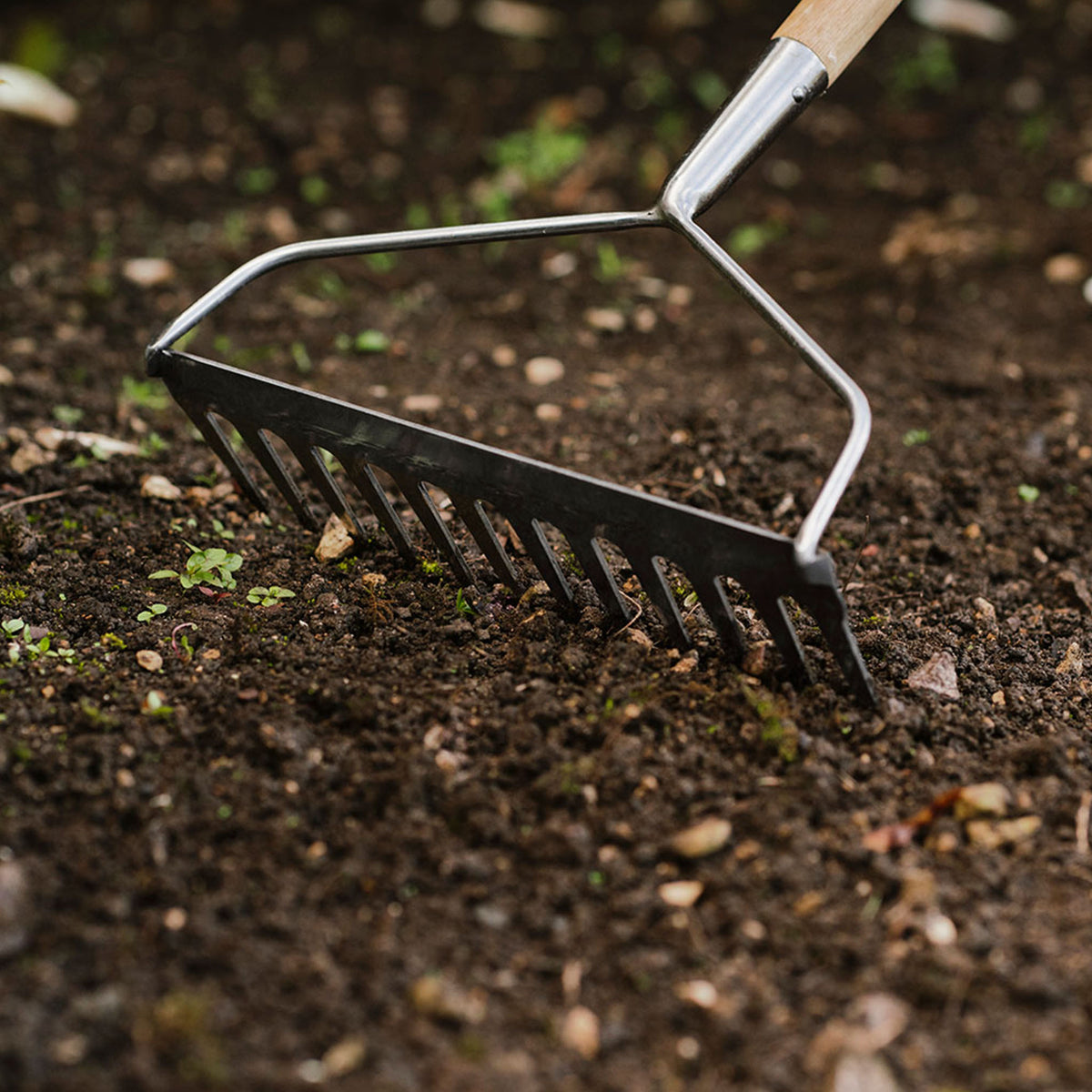 Turf Soil Rake Kent & Stowe Stainless Steel Soil Rake - Cultivating Tools