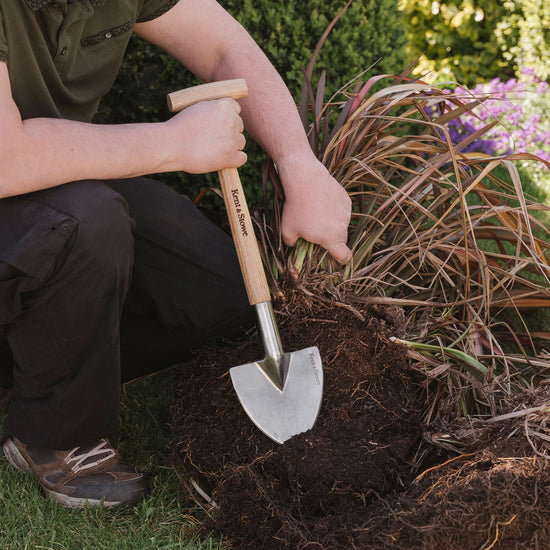 Kent & Stowe Stainless Steel Perennial Spade splitting perennials