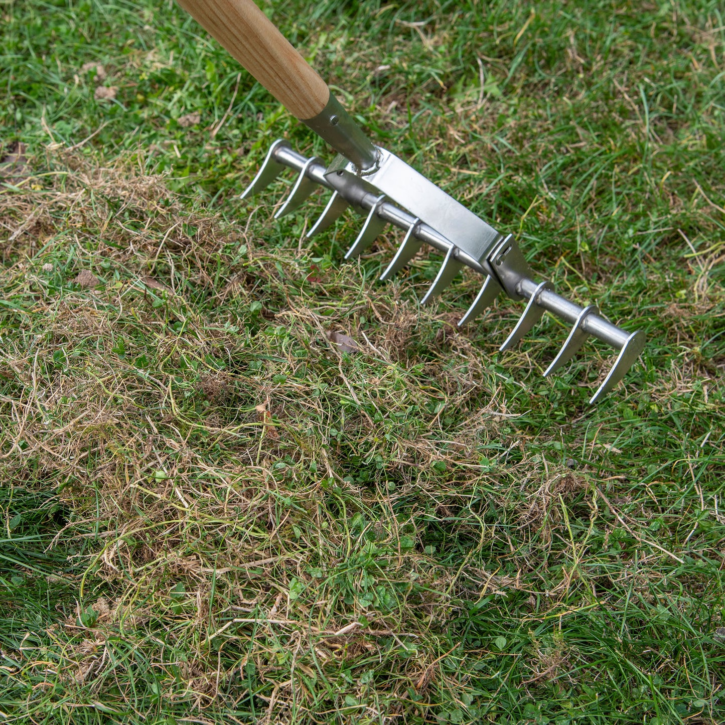 Kent & Stowe Stainless Steel Scarifying Rake - Lawn Care