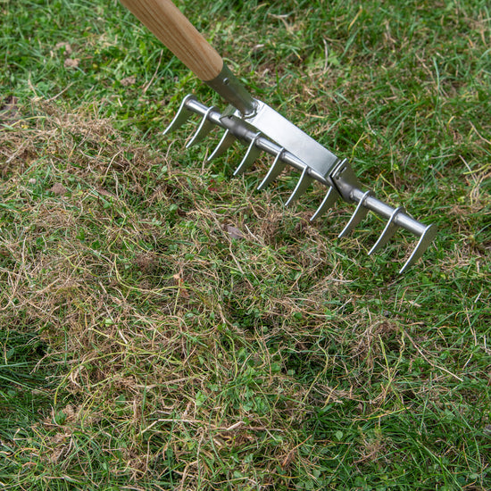 Kent & Stowe Stainless Steel Scarifying Rake - Lawn Care